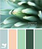 succulent hues