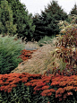 Sedums and grasses - Beautiful/Artful arrangement!: 