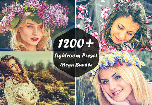 1200+ Lightroom Pres...