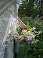 picking wildflowers