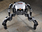 机器人正在等待参加DARPA的 机器人技术挑战赛。这款机器人名叫Clyde，拥有四肢，也可两腿站立。
Clyde拥有"多关节的腿"(multi-segment legs)和三根手指很灵巧的爪子，可以像猿类一样荡个秋千、弯曲或者扭转。该款机器人设计用意在于代替人类进行危险环境的工作。