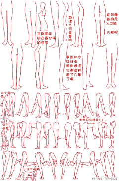 阿曜曜采集到＋局部上色作畫－腿