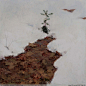 美国艺术家T.Alen.Lawson风景画（2） - 秦之后裔伯 - 秦之后裔伯