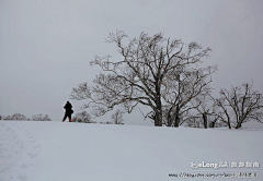 ericsnow采集到雪乡、雪山、雪墨风情, 