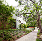 San Lorenzo Residence / Mike Jacobs Architecture