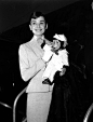 Audrey Hepburn (2491)