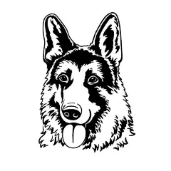 德国牧羊犬德牧黑贝插画矢量图设计素材