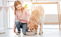 little-girl-sitting-floor-looking-how-golden-retriever-dog-eating_156881-4975_看图王