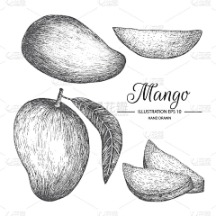 六小鹿采集到插画-其他