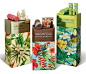 Tropical Summer on Packaging of the World - Creative Package Design Gallery