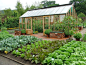 Ideas and Tips for Growing a Self Sustaining Food Source