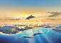 通过aerroscape海豚