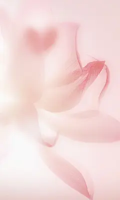 O1CN01frFGFy1To4UHb53fc_!!2200828292428.jpg (1200×2000)