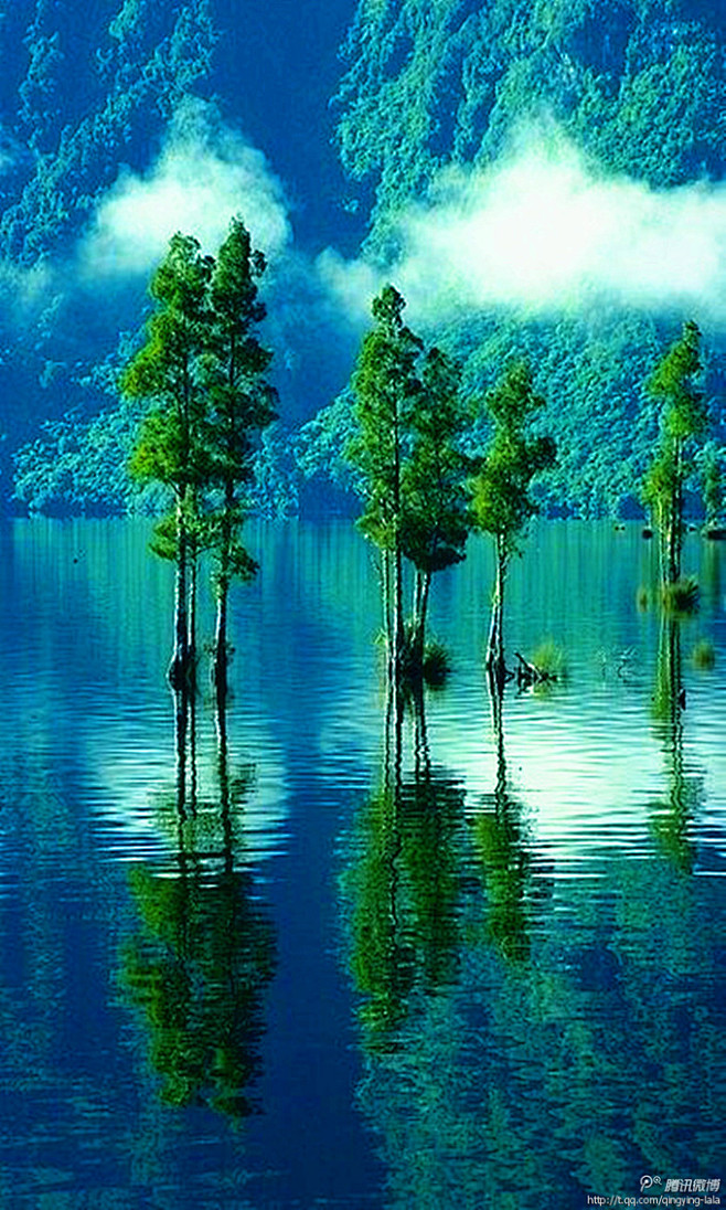 碧水青山湖中树，镜面倒影水中天。