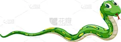 蛇,白色背景,绿色,活力,分离着色,可爱的,创造力,自然,野生动物,设计
