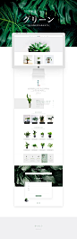 web网页设计 UI设计 古风 盆栽 绿植