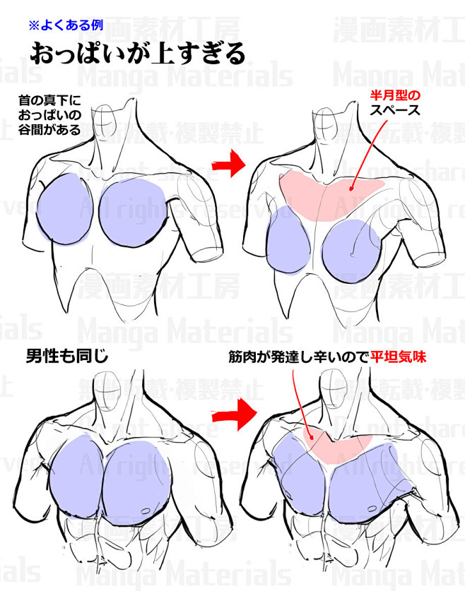 「胸周りの描き方：違和感と修正法②」/「...