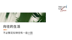 SevenLei采集到小标题