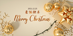 天舞卍寳輪采集到—━╋う圣诞节（Christmas）╰☆╮