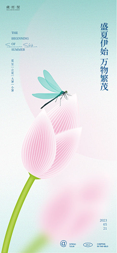 采蘑菇小姐采集到节日海报
