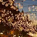 2006年圣诞节照明 by Brut Deluxe-mooool设计