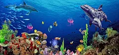 卡通,海底世界,海豚,鲨鱼,海洋生活,海洋,鱼,海报banner,童趣,手绘图库,png图片,,图片素材,背景素材,3624787北坤人素材