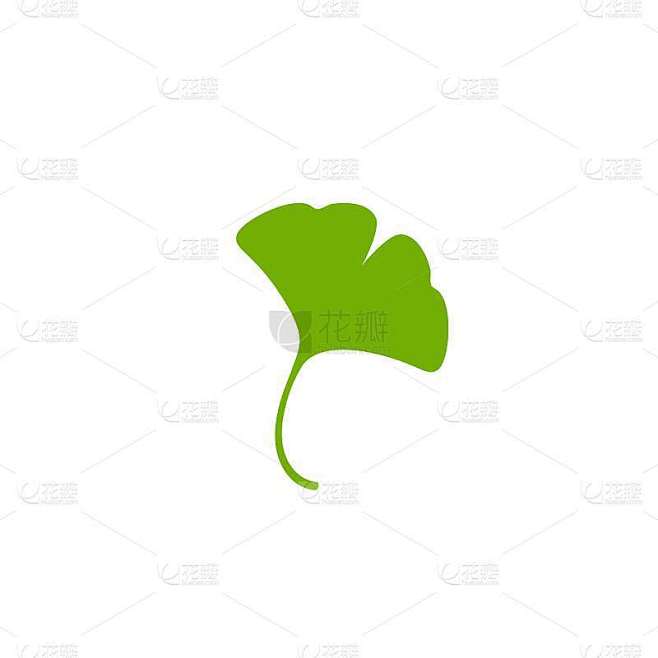 卡通扁平的绿色银杏叶孤立在白色。自然生态图标。矢量插图。素材-花瓣网