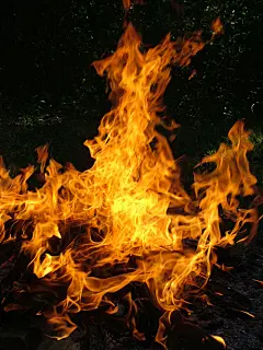 PS合成森林中的火焰鹿王 - PS教程/资源区 - 爱昵论坛将免费提供最新资源学习交流、常见的解决方案社区平台 - 爱昵图库(Inpic)