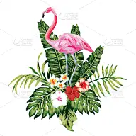 鸡尾酒,粉色,叶子,火烈鸟,纺织品,浪漫,干酪藤,壁纸,构图,爱