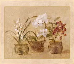 【插画】美国Cheri Blum作品选