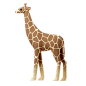 长颈鹿 3D多彩卡通动物形象图标 Giraffe_2k