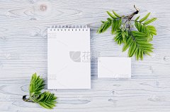 企业身份模板，文具与绿色树叶在软浅蓝色木板。模拟品牌，图形设计师的演示和作品集。