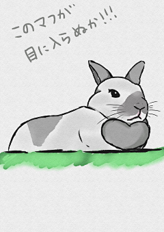 蕉蕉焦焦采集到兔子即是正义