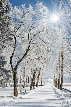 彼岸彼风采集到冰雪之美