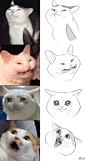 猫 表情