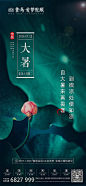 地产大暑节气海报