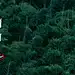 以安静轻盈姿态，赴约自然丨贵阳融创·云麓长林 : 山林的诗意激发出对回归生活的想象与憧憬。