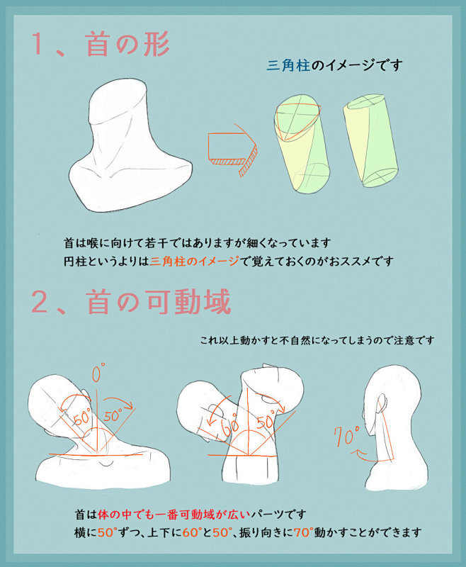 头颈肩关系