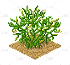 多裂骆驼蓬植物在像素艺术风格
