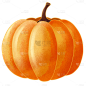 手绘-世界粮食日元素贴纸南瓜