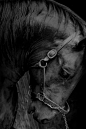 alexandra-sousaa:

http://alexandra-sousaa.tumblr.com/
