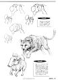 艺用解剖的猫科动物图解
.
研究豹子的动态与内部结构
.
练习动物素描与插画必备
.
铃木真理 ​​​​