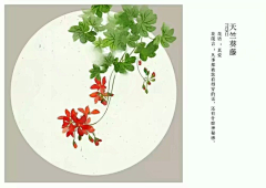 非来非来采集到11