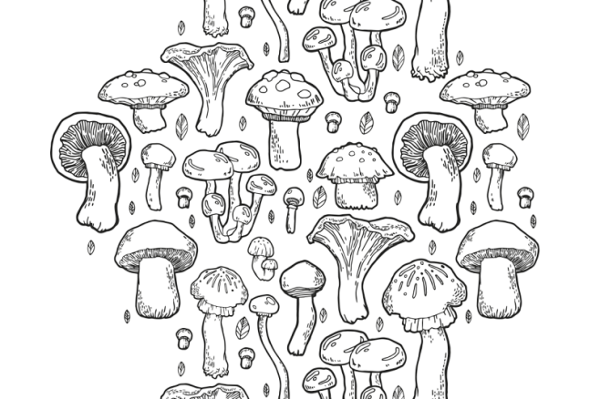 蘑菇手绘图案