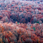 Photograph Autumm by Julio López Saguar on 500px