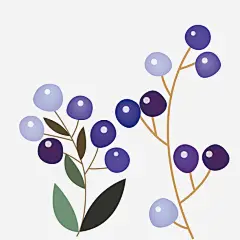 紫色植物手绘矢量图高清素材 创意 卡通 叶子 手绘 果实 简单 紫色 绿叶 矢量图 免抠png 设计图片 免费下载