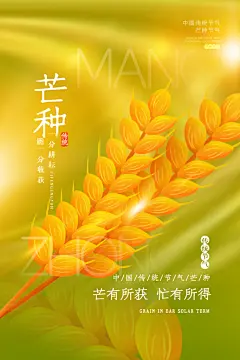 金色麦穗芒种宣传画夏季二十四节气芒种海报