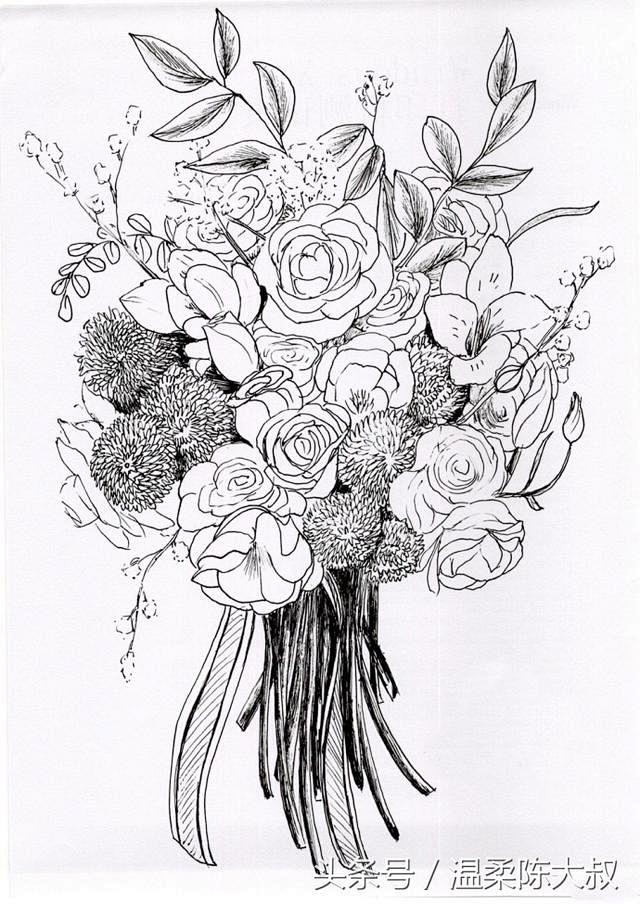 花卉-线稿