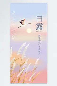 仙鹤飞翔白露手机海报
