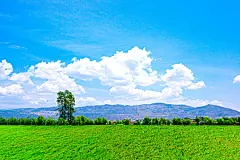 壁纸 云南_图片大全_全景网